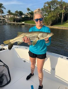 Snook fish caught by two people fishing in Florida