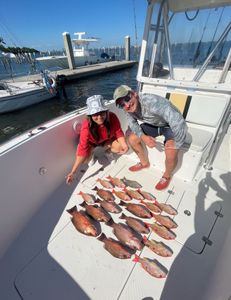 Grey Snapper fish caught fishing at Jensen Beach