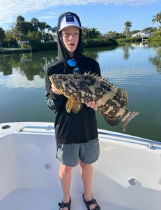 Lingcod caught while fishing at Jensen Beach