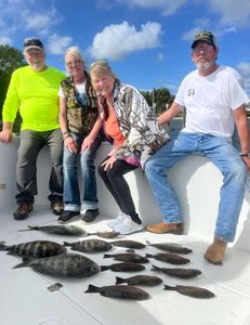 7 sheepshead and grey snapper fish caught on fishing trip at Jensen Beach