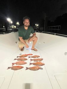 Mutton Fishing Bonanza At Jensen Beach, FL
