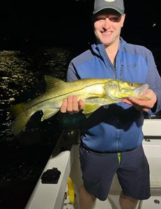 A snook fish being caught while fishing in FL