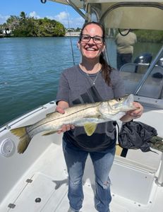 Snook fish caught fishing in FL