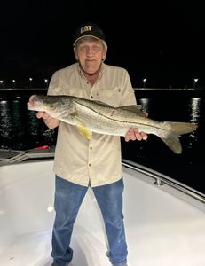 Snook fish caught while fishing at Jensen Beach