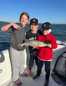 A snook fish caught while fishing in Florida