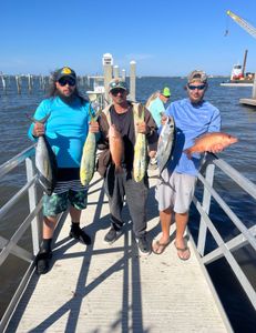 5 grey snapper fish caught in FL