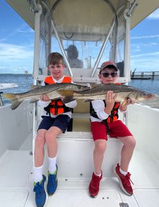 Two big snook fish caught in FL
