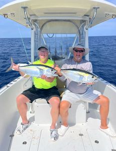 Two yellowfin and blackfin tuna, 19 inches long, caught while fishing in FL