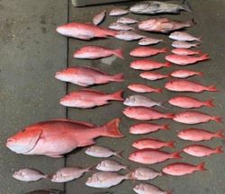 Florida's Finest Fishing Experiences, Red Snapper