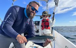 Little Tunny fish being caught during fishing tours in FL