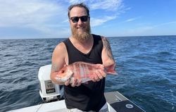 Sheepshead fish caught on a fishing tour in FL
