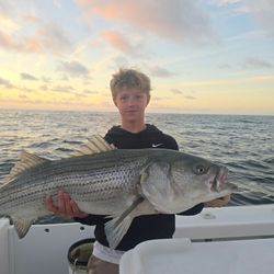 Fish-Species