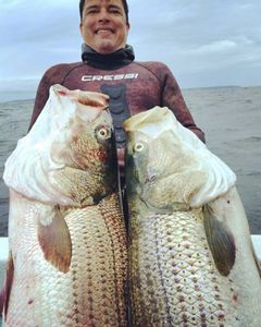 2 big fish caught while fishing in Narragansett