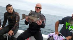 Grey triggerfish caught in Narragansett