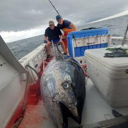 Two people fishing in Narragansett with a 78-inch fish