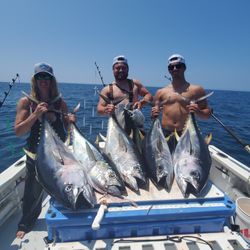4 yellowfin and blackfin tunas caught in Narragansett
