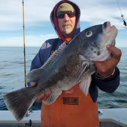 Fishing in RI with a single fish