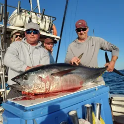 Yellowfin tuna, a 33-inch fish caught while fishing in RI