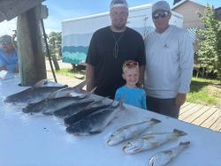 Strong shark catch with proud anglers of all ages.
