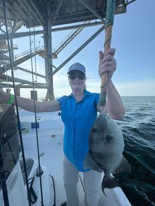 Nice triggerfish catch on the boat.