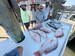 Group of 4 people fishing in the beautiful Gulf Shores