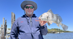 Photograph of a 13-inch Black Drum fish caught while fishing in AL