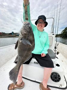 Angler catching Black Drum fish in AL