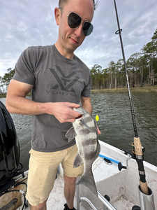 Nice black drum from Fort Morgan Marina using multiple techniques.