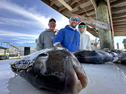 Caught a big one on the pier today!
