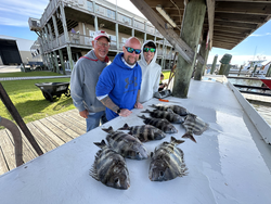 A day's worth of catches.
