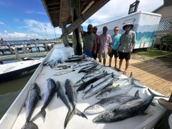Four little tunny fish caught in Gulf Shores