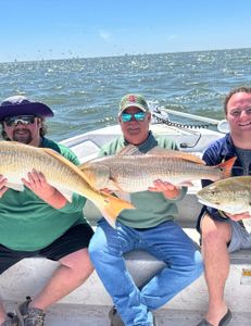 Two freshwater drum fish caught while fishing in Gulf Shores, Alabama