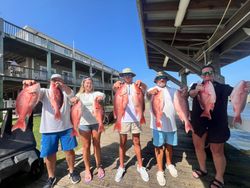 11 grey snapper fish caught in AL