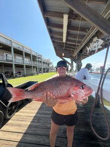 Photograph of a grey snapper, a 41-inch fish caught while fishing in Gulf Shores