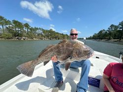 Large black drum fish caught while fishing in Gulf Shores AL