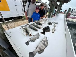 Fresh caught fish display on boat deck in Gulf Shores AL featuring Black Drum and mixed species