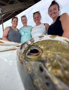 4 people fishing at Gulf Shores