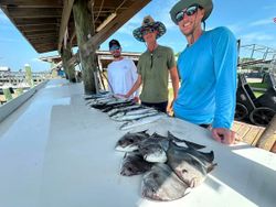 Fresh caught fish displayed on boat deck at Gulf Shores AL fishing dock