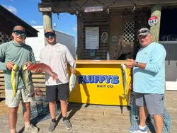 Fishing catch display at Gulf Shores AL bait shop with multiple fish species