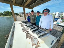 Fresh caught fish displayed on boat dock in Gulf Shores AL after successful fishing trip