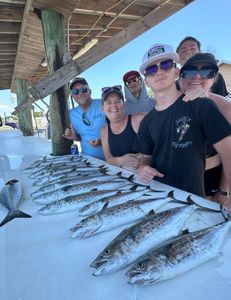 Yellowfin Tuna and Spanish Mackerel caught during fishing trip in Gulf Shores