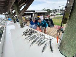 Fresh caught Spanish Mackerel and King Mackerel displayed on fishing boat deck at Gulf Shores AL marina