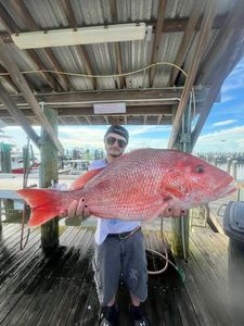 Red snapper catch displayed on fishing dock in Gulf Shores AL