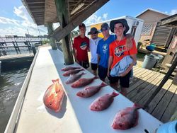 Red snapper fishing catch displayed on dock in Gulf Shores AL