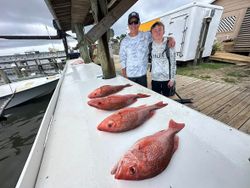 Red snapper catch displayed on boat dock in Gulf Shores AL