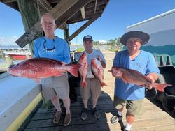 Red snapper fishing catch displayed on dock in Gulf Shores AL