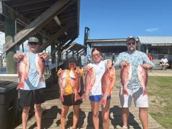 Fishing group displays red snapper catch at Gulf Shores AL marina dock