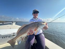 Redfish caught while fishing in Gulf Shores AL on boat
