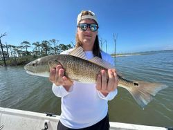 Redfish caught while fishing in Gulf Shores AL