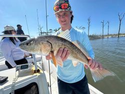 Redfish caught while fishing in Gulf Shores AL